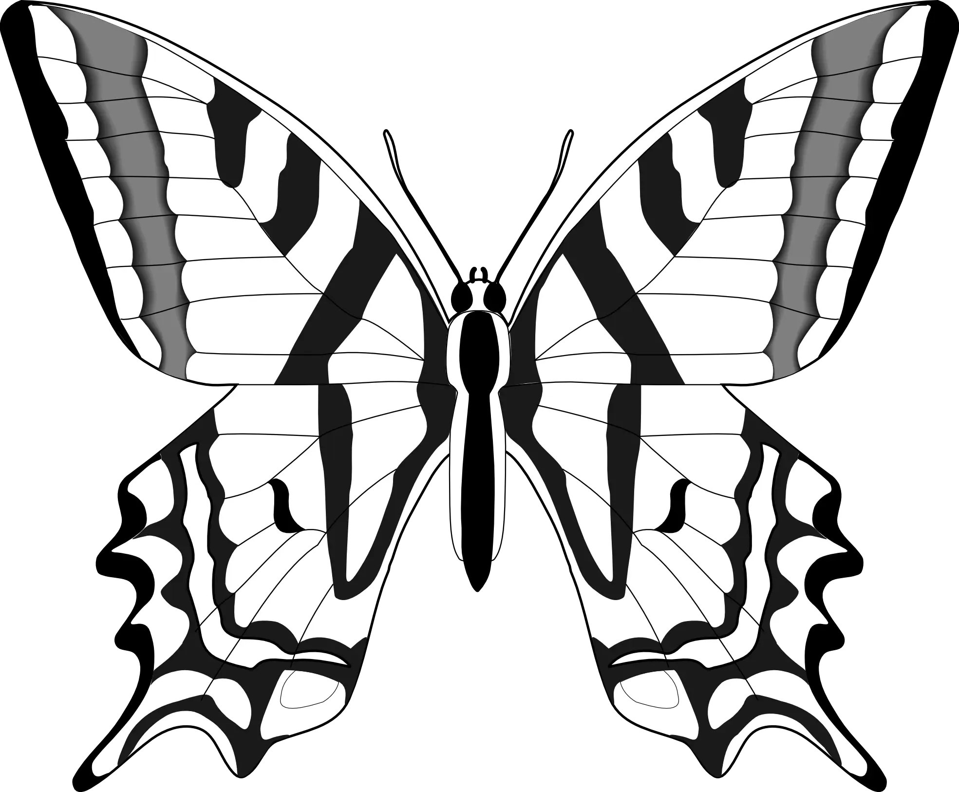 Monochromatic Black and White Butterfly Illustration