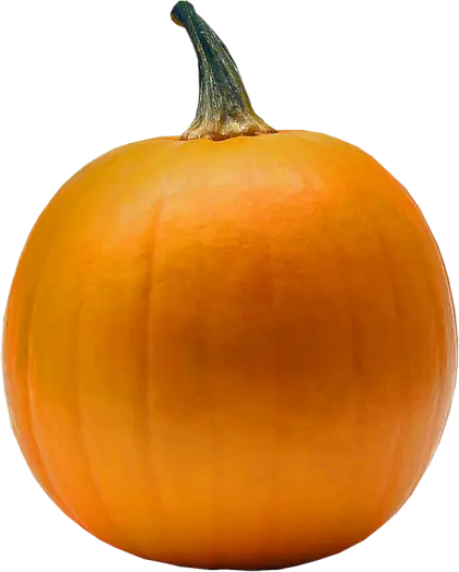 Bright Orange Pumpkin