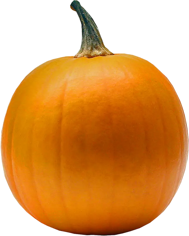 Bright Orange Pumpkin