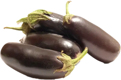 Fresh Eggplants in Purple Color