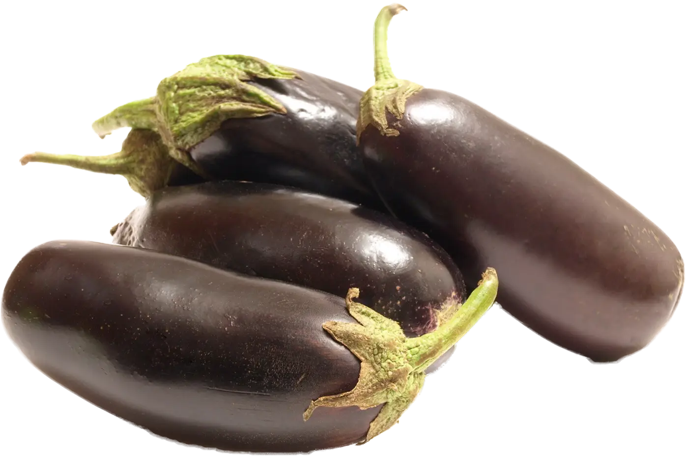 Fresh Eggplants in Purple Color