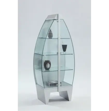 Modern Glass Cabinet with Shelves