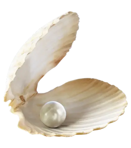 Shell with Shining Pearl Inside