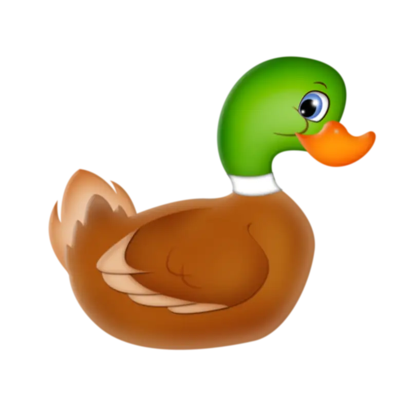 Cute Cartoon Duck Illustration