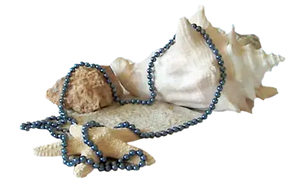 Seashell with Beaded Necklace