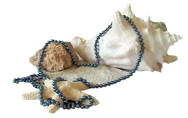 Seashell with Beaded Necklace