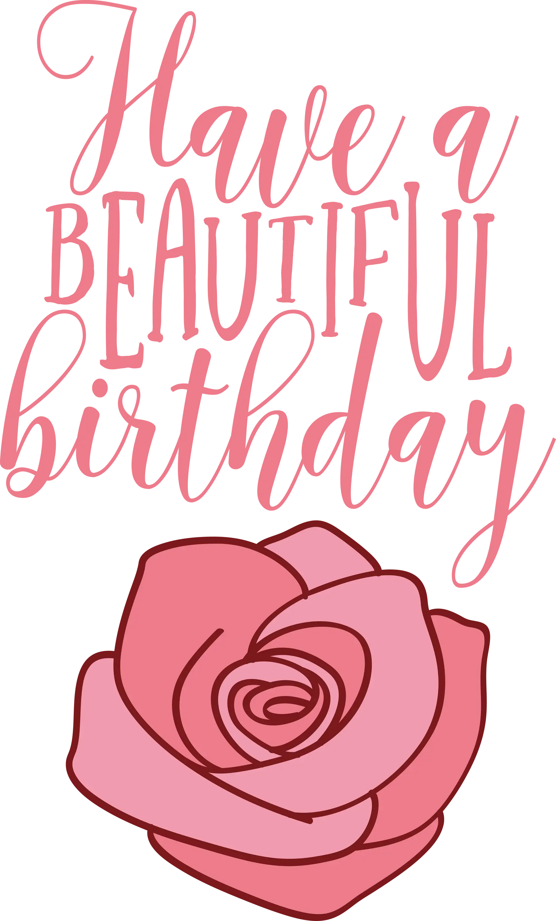 Birthday Card with Pink Rose and Wishes