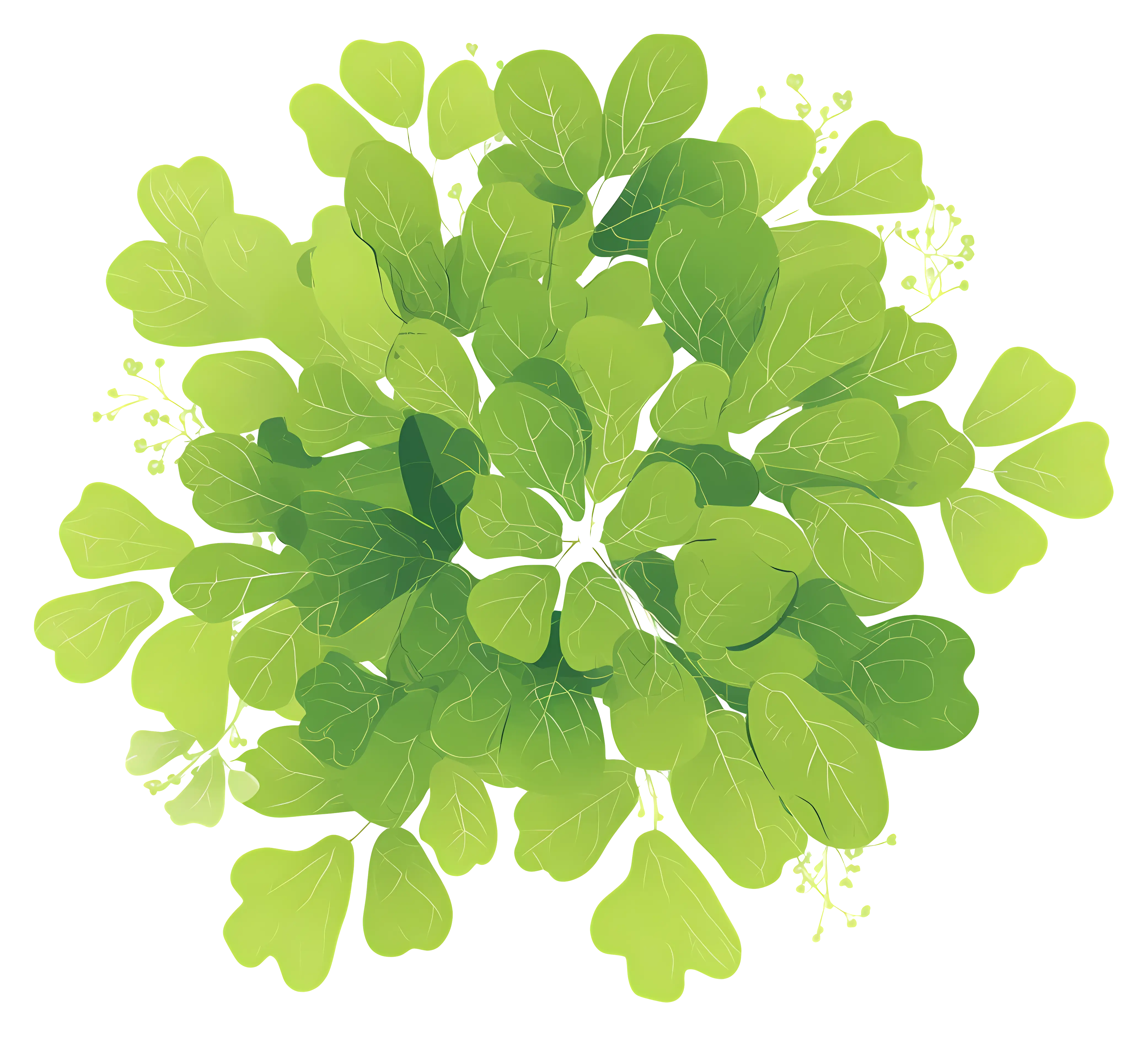 Cluster of Fresh Green Leaves