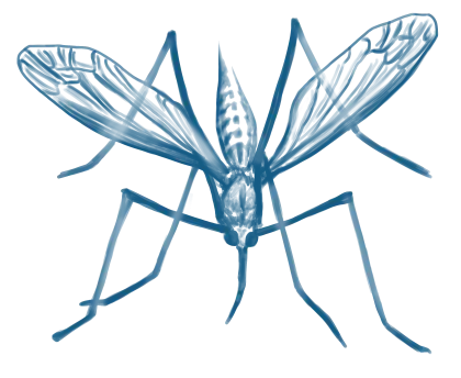 Blue Mosquito Illustration in Detailed Sketch Design