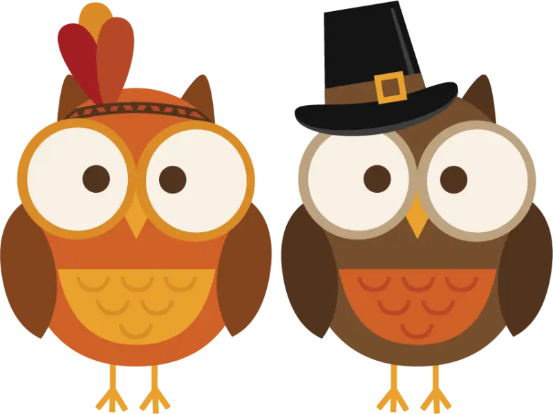 Thanksgiving Owls in Festive Costumes