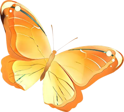 Golden and Radiant Butterfly Artwork
