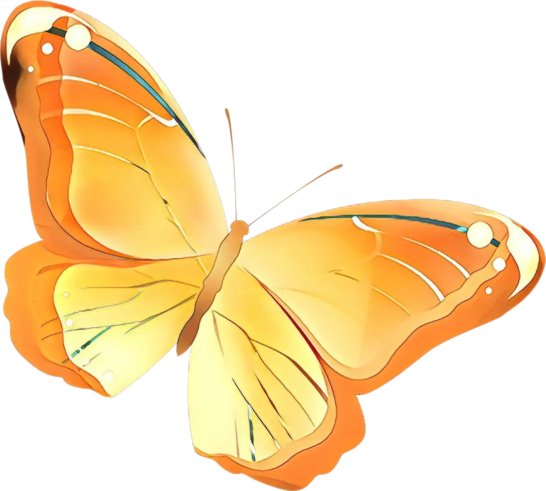 Golden and Radiant Butterfly Artwork