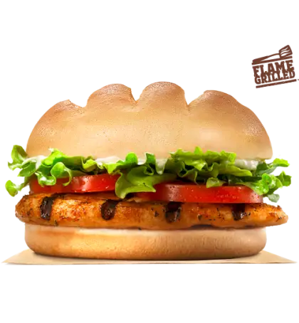 Delicious Grilled Chicken Burger with Vegetables