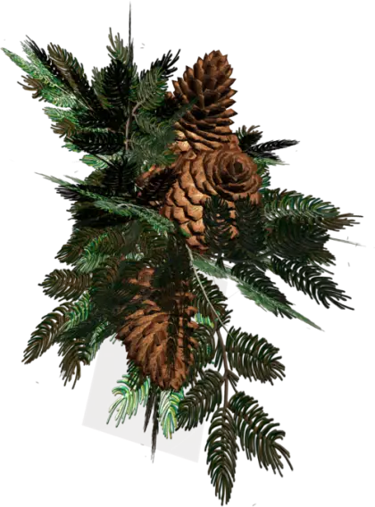 Rustic Pinecones with Green Sprigs for Decoration