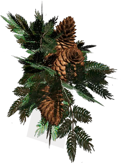 Rustic Pinecones with Green Sprigs for Decoration