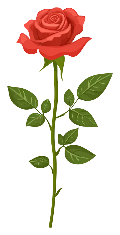 Red Rose Illustration with Green Leaves