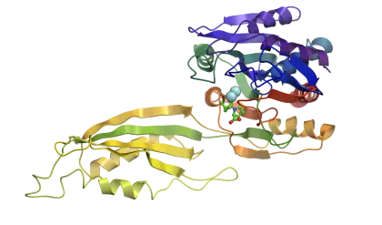 Colored Protein Structure Representation in Scientific Visualization