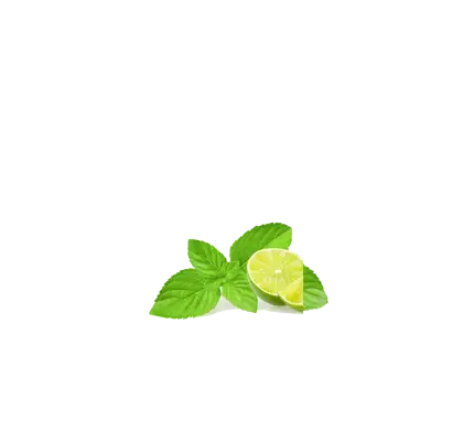 Lime and Mint
