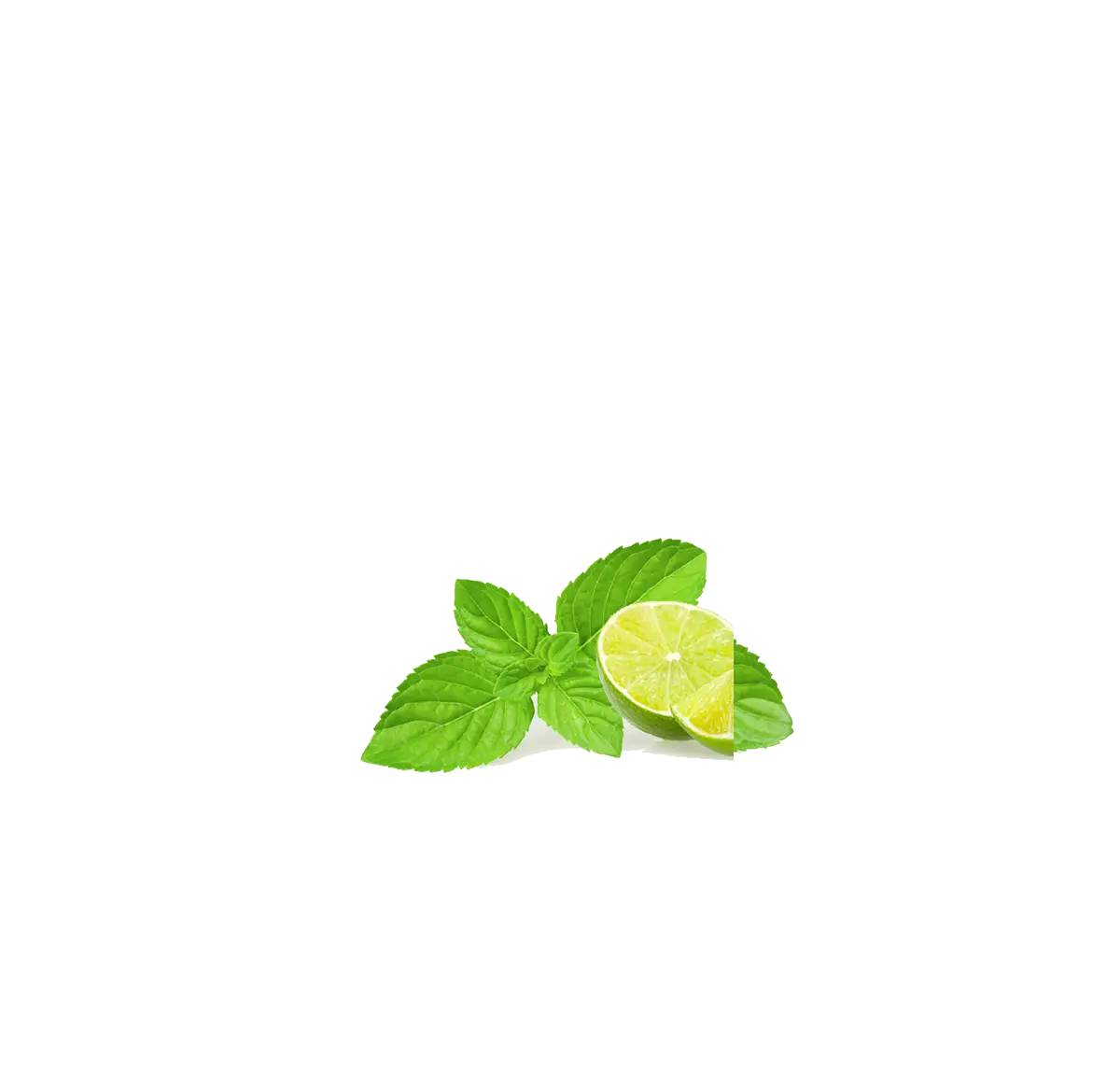 Lime and Mint