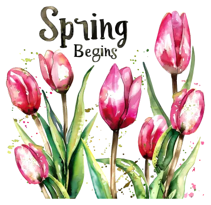 Watercolor Pink Tulips for Spring Season