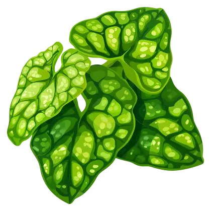 Green Leaves Illustration
