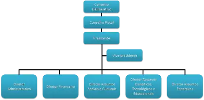 Organizational Chart Design