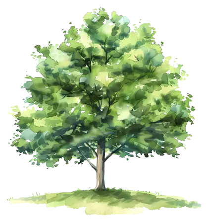 Watercolor Illustration of a Green Tree
