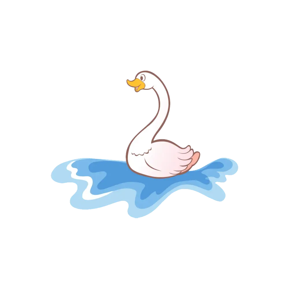 Swan on Water
