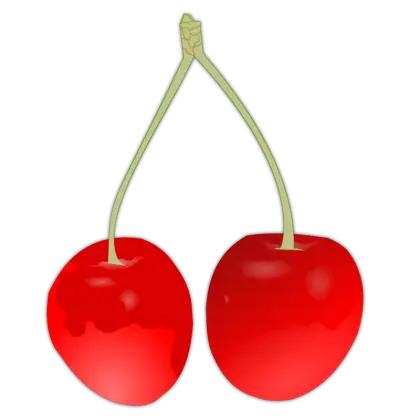 Fresh Red Cherries with Stems