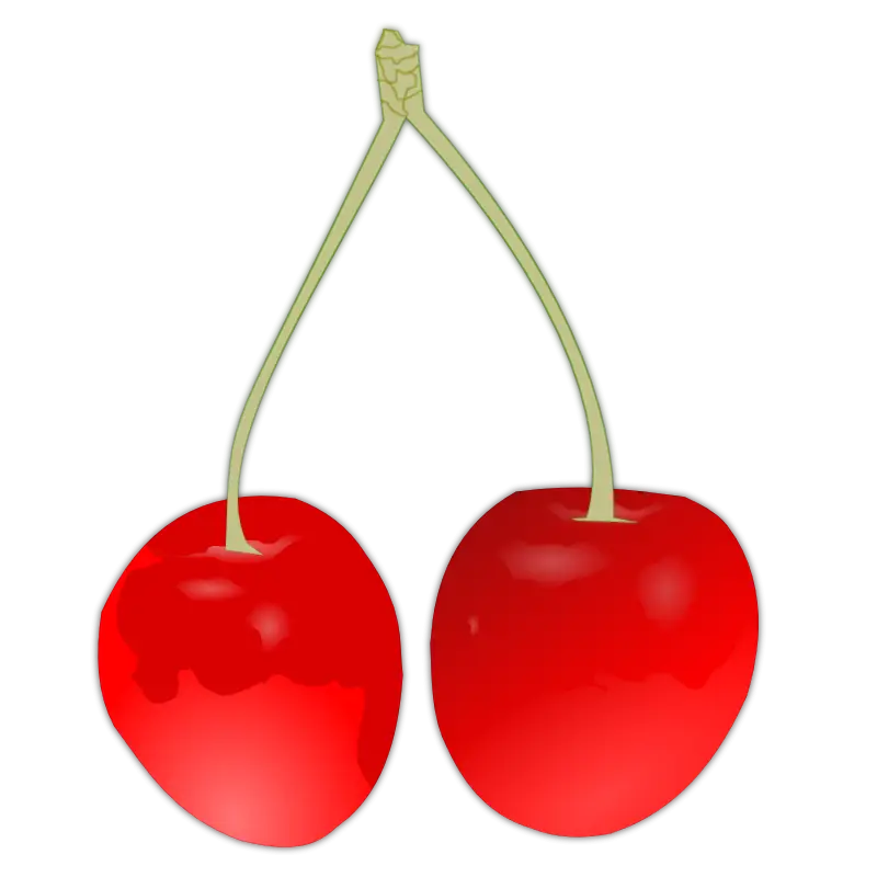 Fresh Red Cherries with Stems