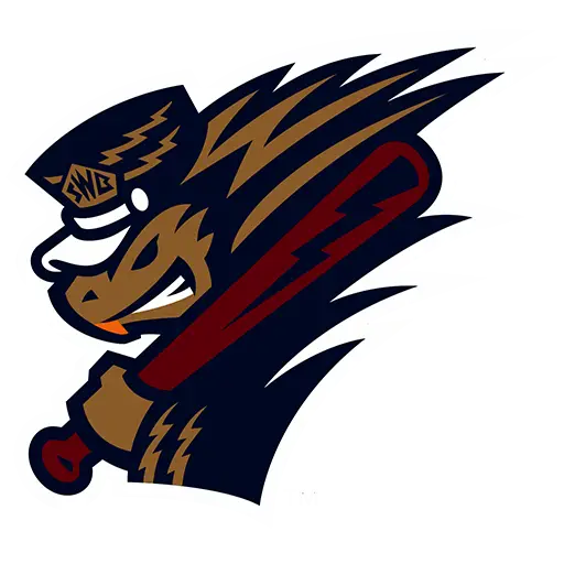 Baseball Mascot Logo