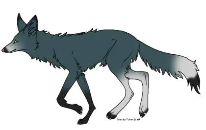 Dark Gray Wolf Cartoon Illustration
