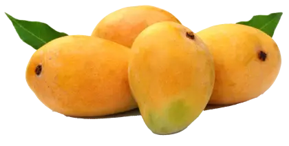 Fresh Mangoes with Leaves