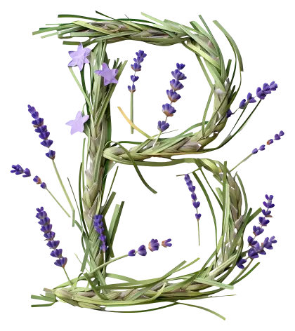 Lavender Letter B Illustration