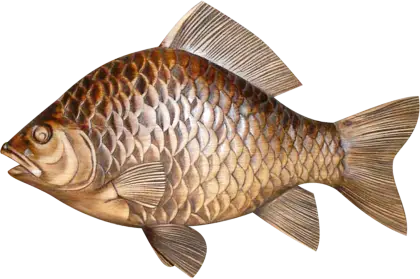 Wooden Fish Carving