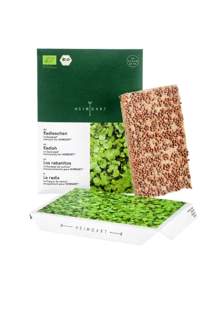 Microgreens Growing Kit with Seeds