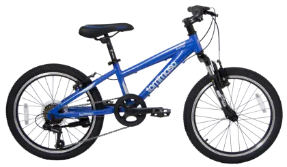 Blue Kids Bicycle