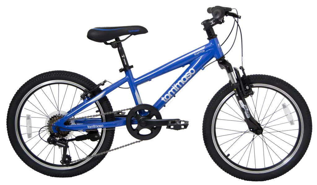 Blue Kids Bicycle