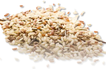 Mixed Grains for Healthy Diet