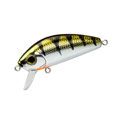 Fishing Lure with Colorful Design