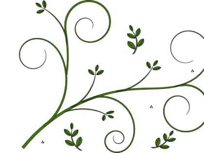 Decorative Green Leafy Vine Illustration
