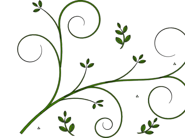 Decorative Green Leafy Vine Illustration