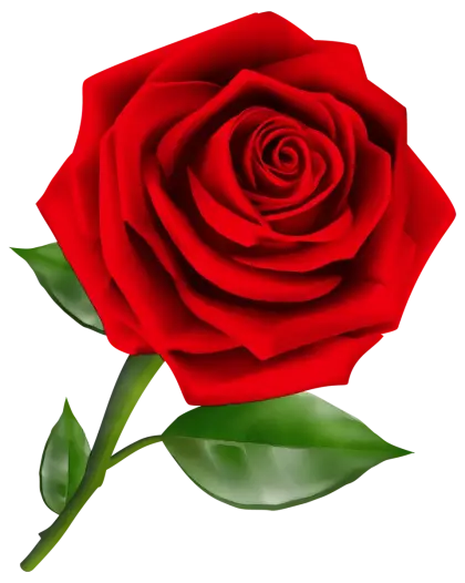Beautiful Red Rose Illustration