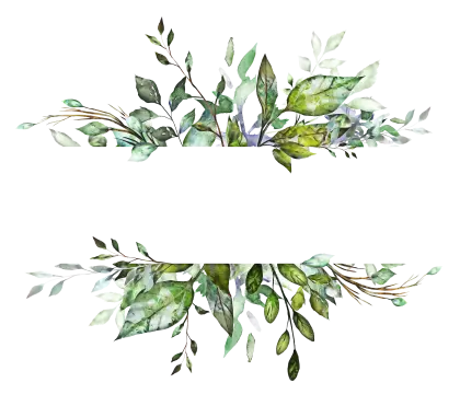 Green Watercolor Foliage Border Decoration