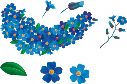 Blue Forget-Me-Not Flower Illustration