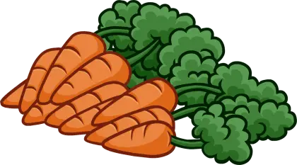 Fresh Bunch of Carrots