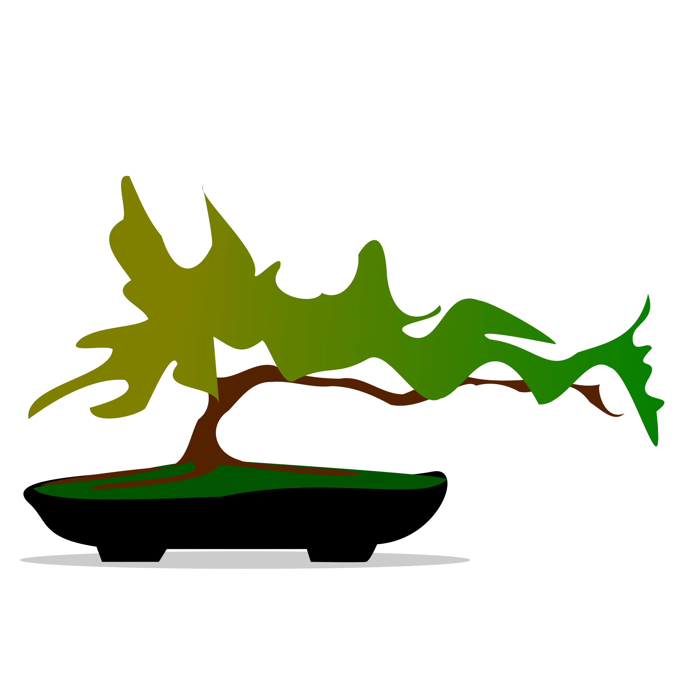 Green Bonsai Tree Design