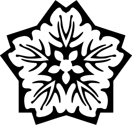 Black and White Snowflake Pattern