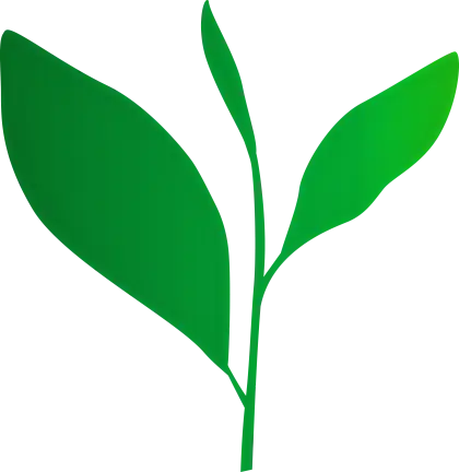 Green Leaf Nature Icon