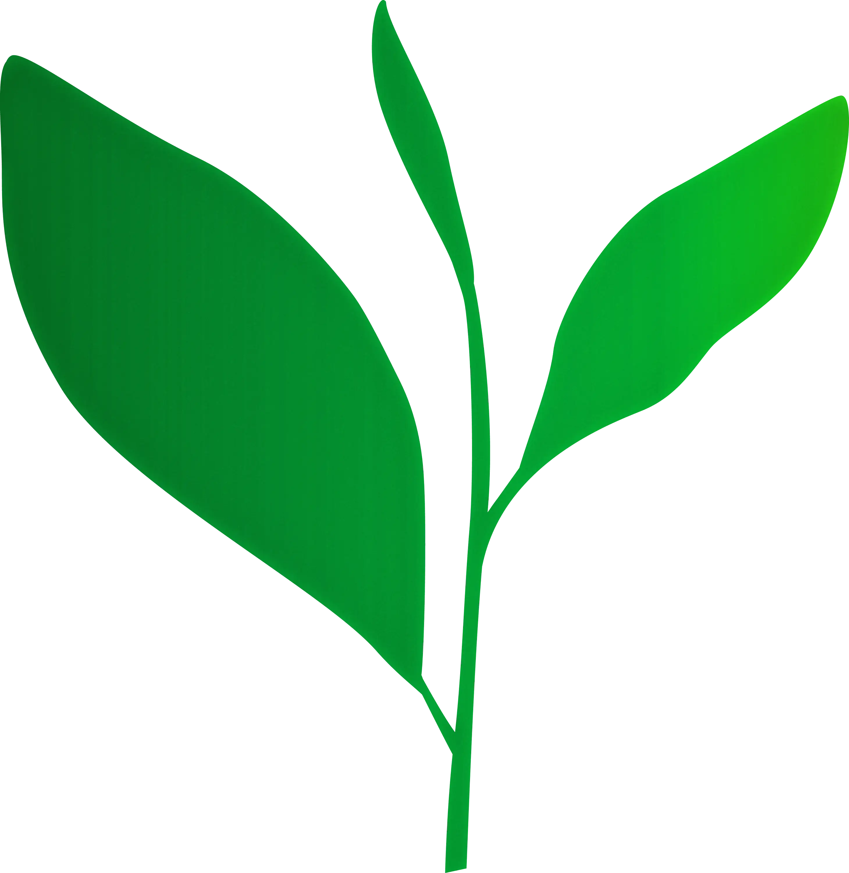 Green Leaf Nature Icon